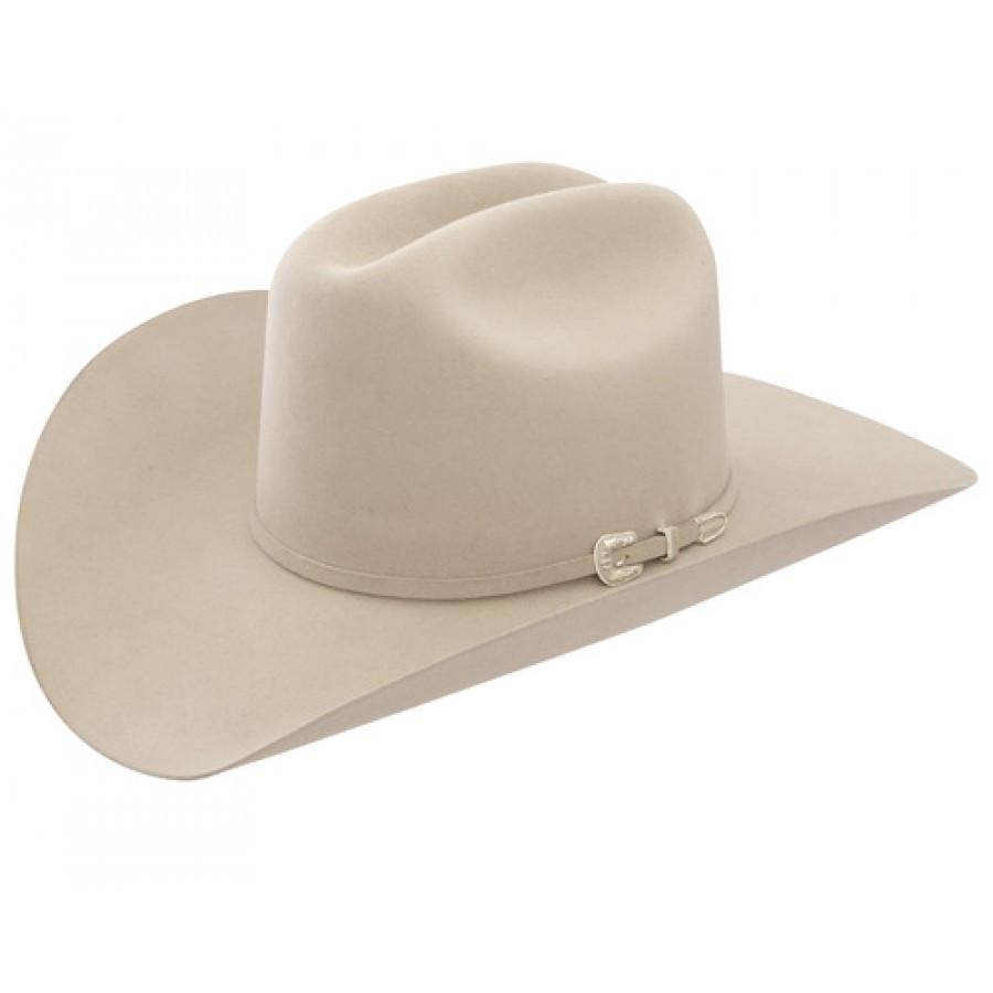 Stetson 6X Skyline Felt Hat in SilverBelly