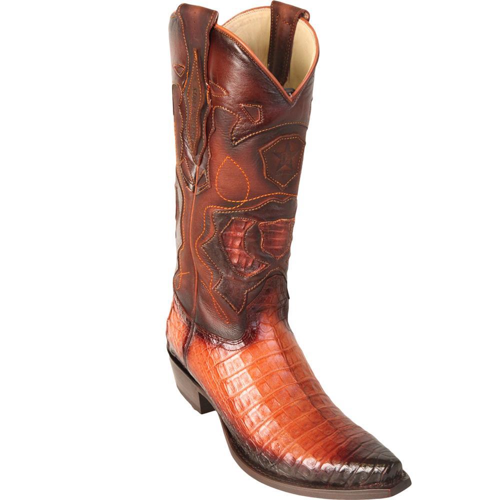 Los Altos Genuine Caiman Belly Snip Toe Boot in Burnished Cognac